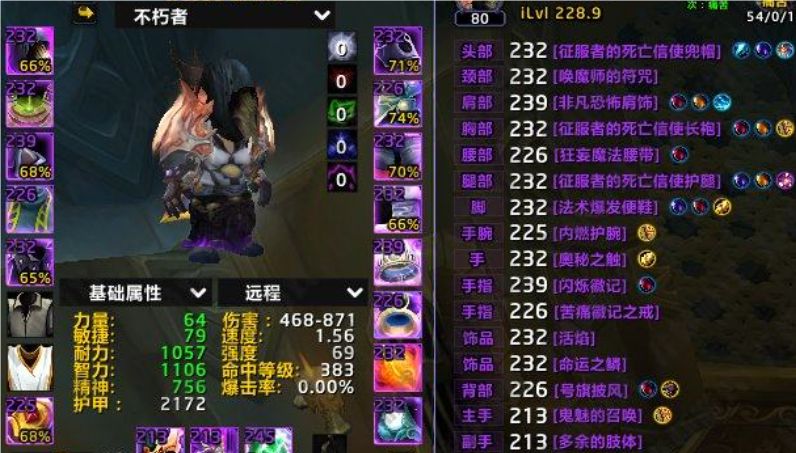 dps第一术士 230装等 310成就龙 1