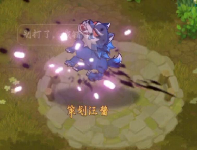 @汪酱 1