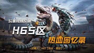 【指挥官风采】H65区服炼狱军团热血回忆录