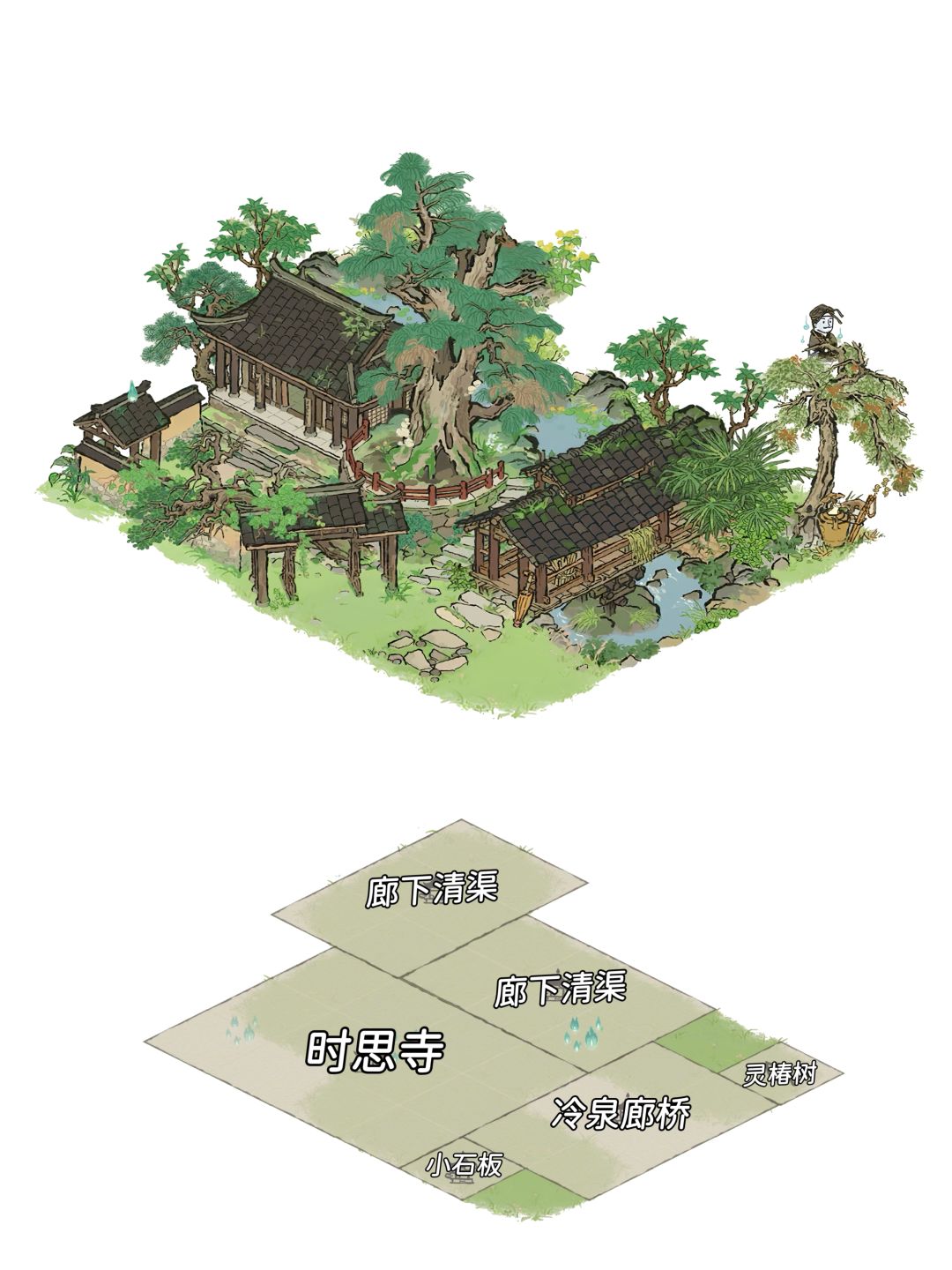 时思寺✖️祭祖大槐树 2
