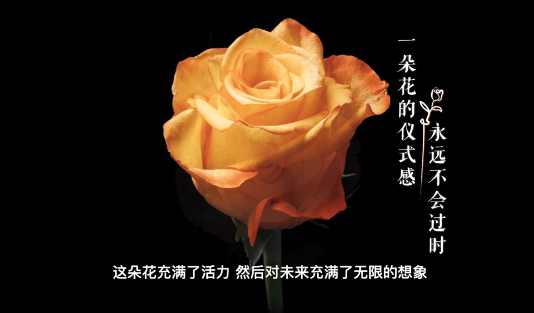 一年了,才知道是有真花的…… 2