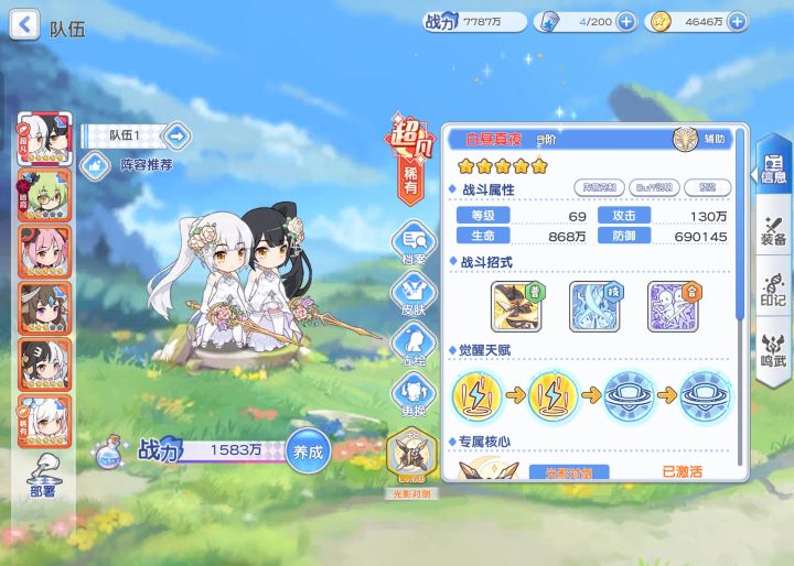 大佬教教我,看看阵容截图