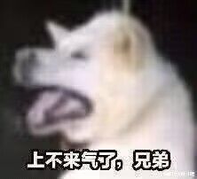 快8点了 还没有收到短信 1