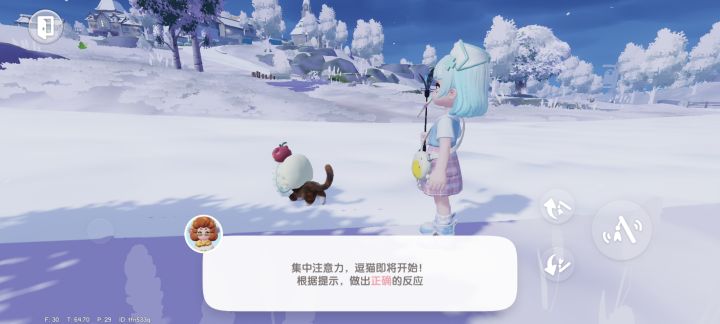 这真的是我在训猫吗截图