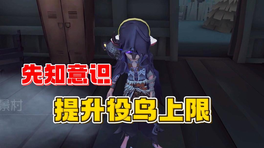 video-4572128