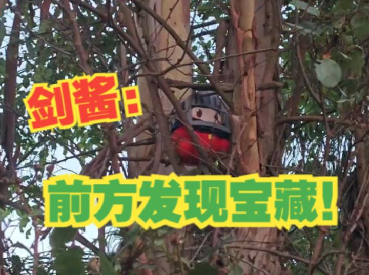 【半周年预告】剑酱寻宝纪录片珍贵片段流出……截图