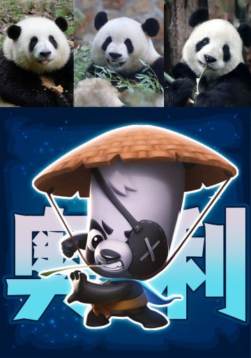 磕到我，你算是磕到宝啦~