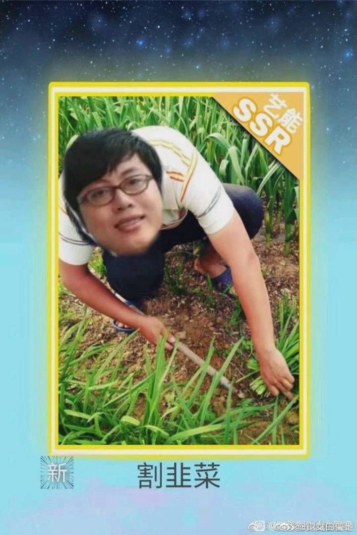 分享一波 5