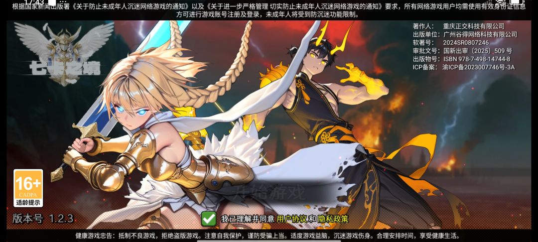 一直进不去游戏 1