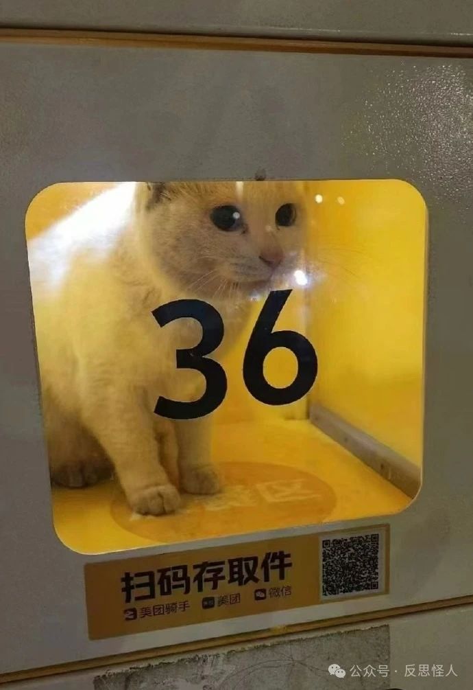 糖果擂台,10点发积分,10点关门 1