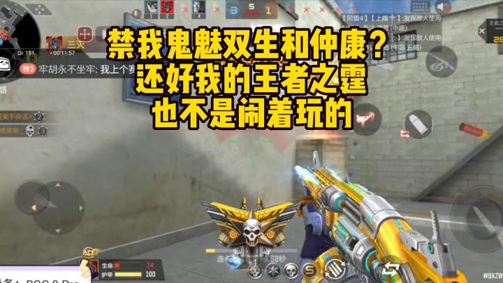 禁我鬼魅双生和仲康？还好我的王者之霆也不是闹着玩的！截图