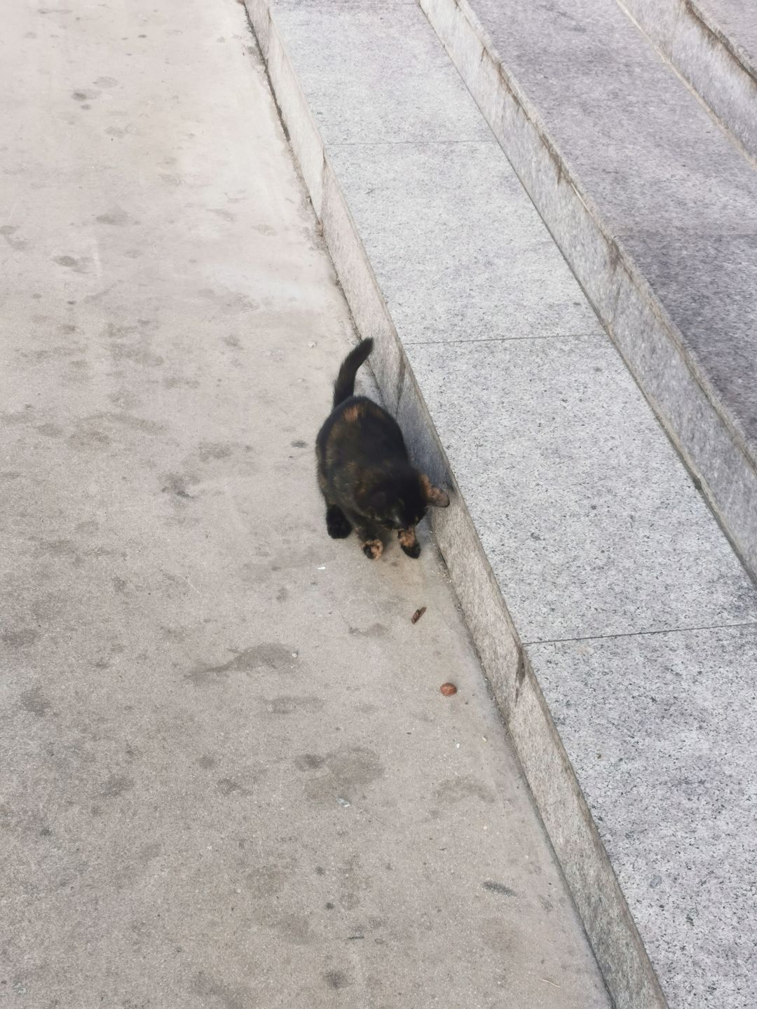 看到就想抓 1