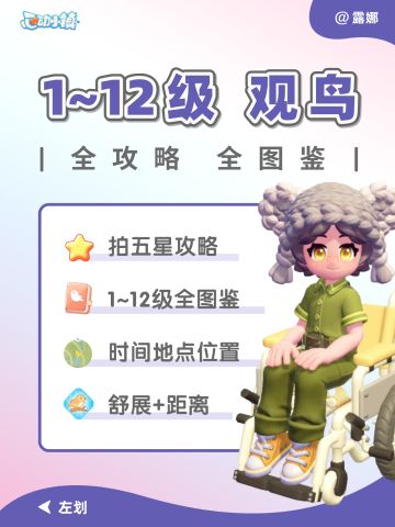 心动小镇 1~12级观鸟攻略 5星 图鉴（全）