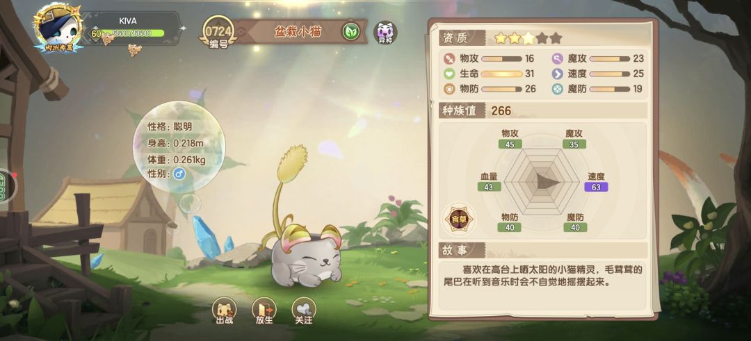 欧麦糕的，地洞里面的盆栽小猫是真的多。 2