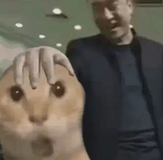 每日耄耋表情喜加n! 1