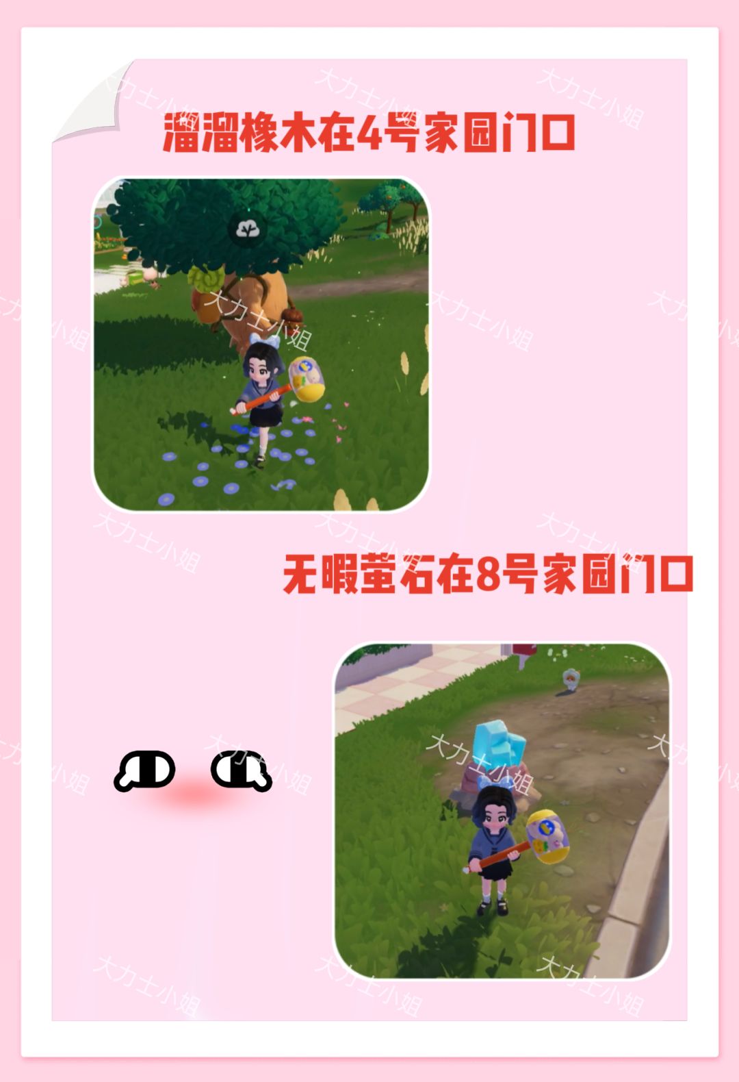10月5日15个粉色泡泡个橡木及萤石位置来啦 2