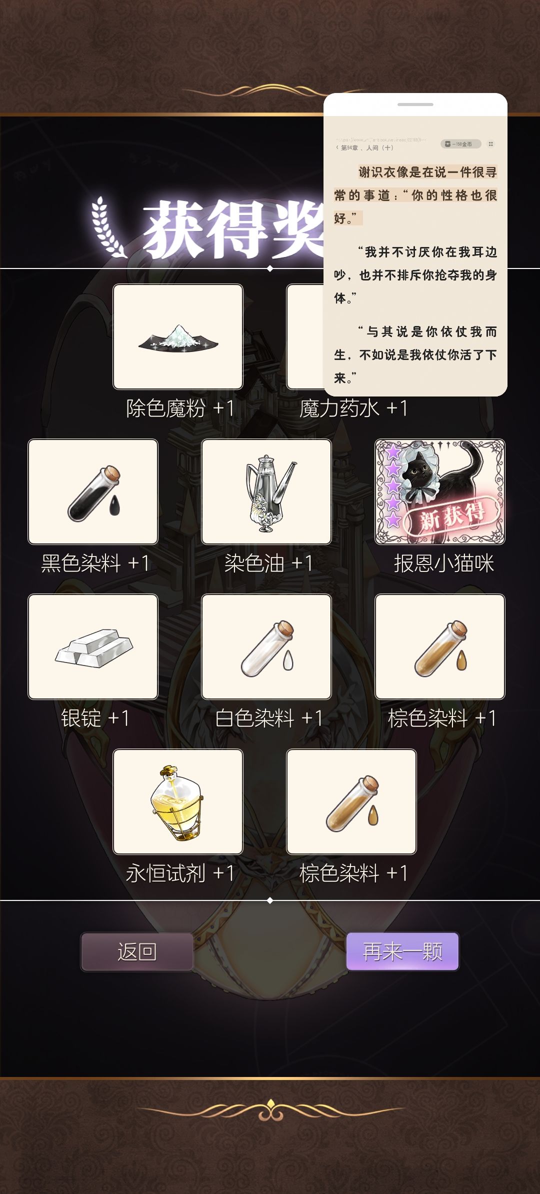 猫女仆好黑呀 11