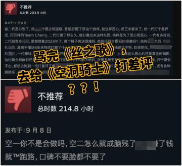 《丝之歌》差评蔓延，牵连前作《空洞骑士》