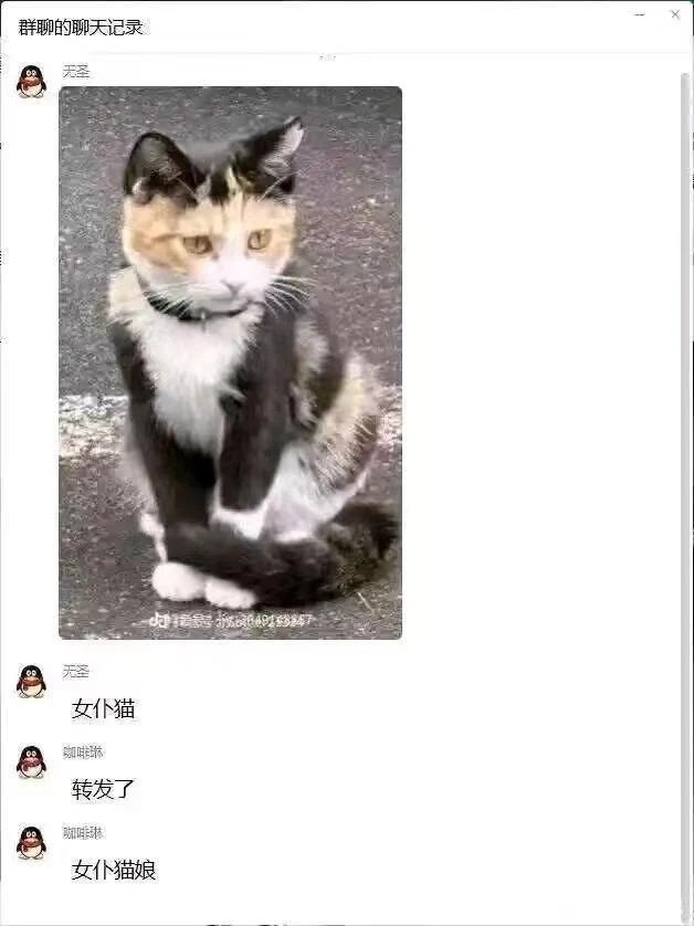 今日份梗图分享 1