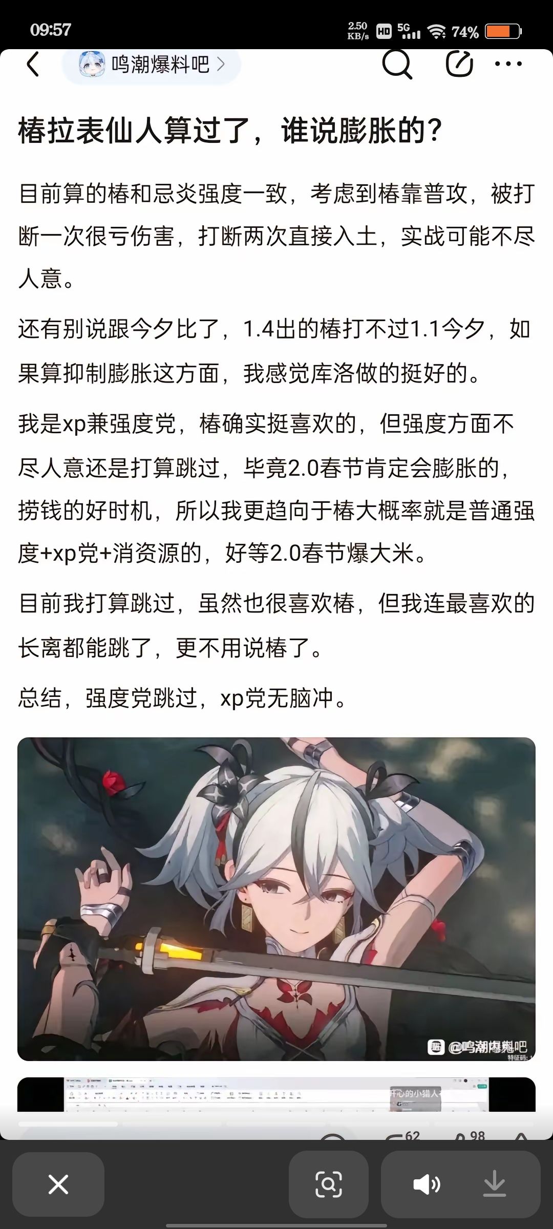 关于椿 2