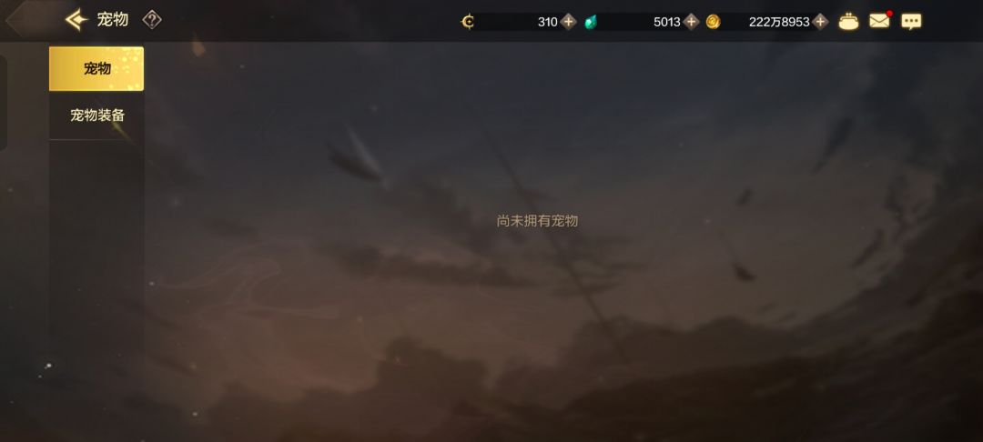 没有宠物 1