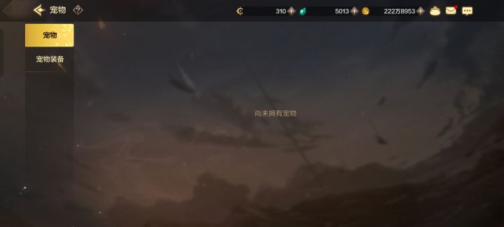 没有宠物截图