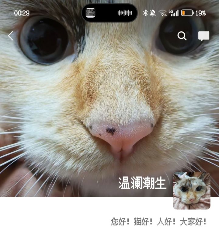 雷霆猫头!😳截图