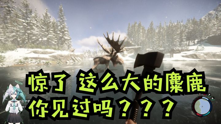 这么大的麋鹿 你见过嘛?截图