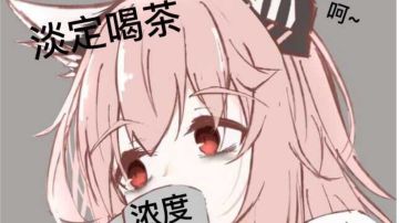 或许是攻略吧，