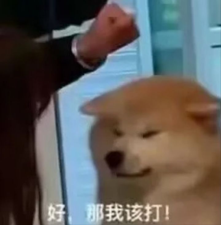 摸鱼一天截图
