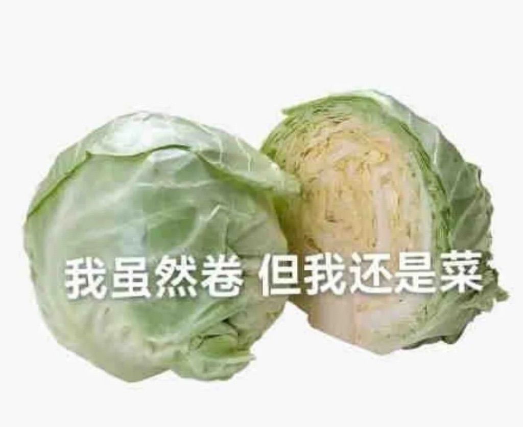 今天野队普通龙 1