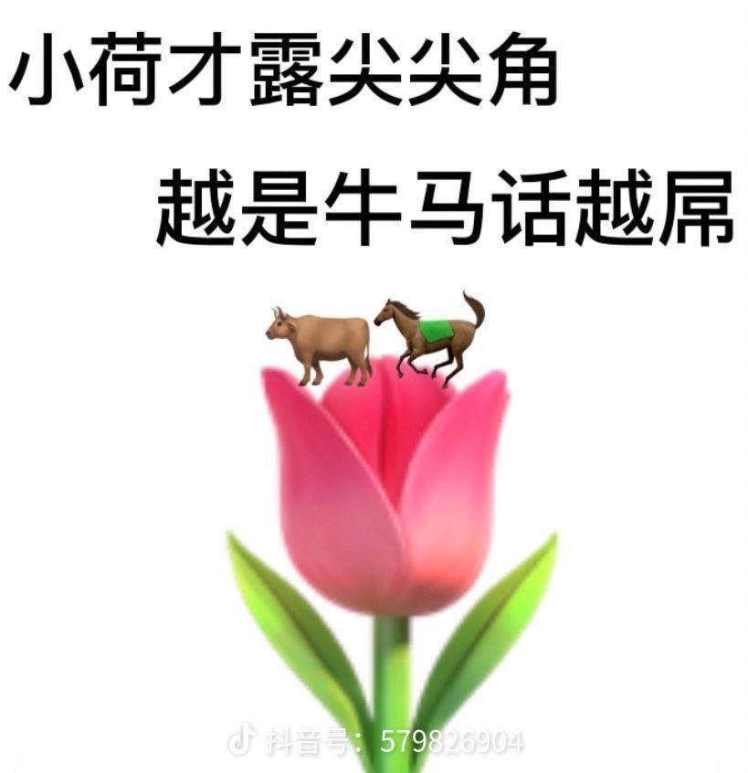 新手攻略 1
