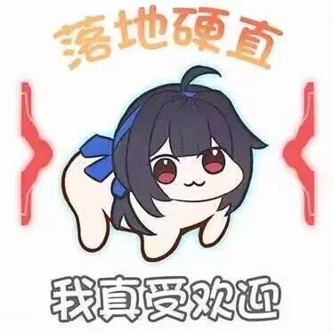 关于星之翼未来发展的一点思考 2