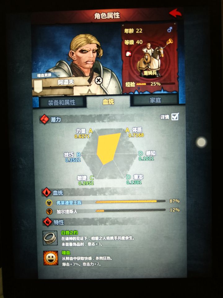 我这个转啥骑士好?截图