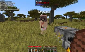 新开坑原版服务器等你加入