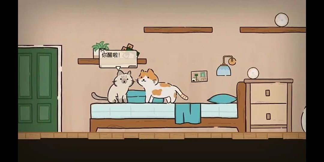 大橘家里多日游🐱搜寻“老大”👀 1