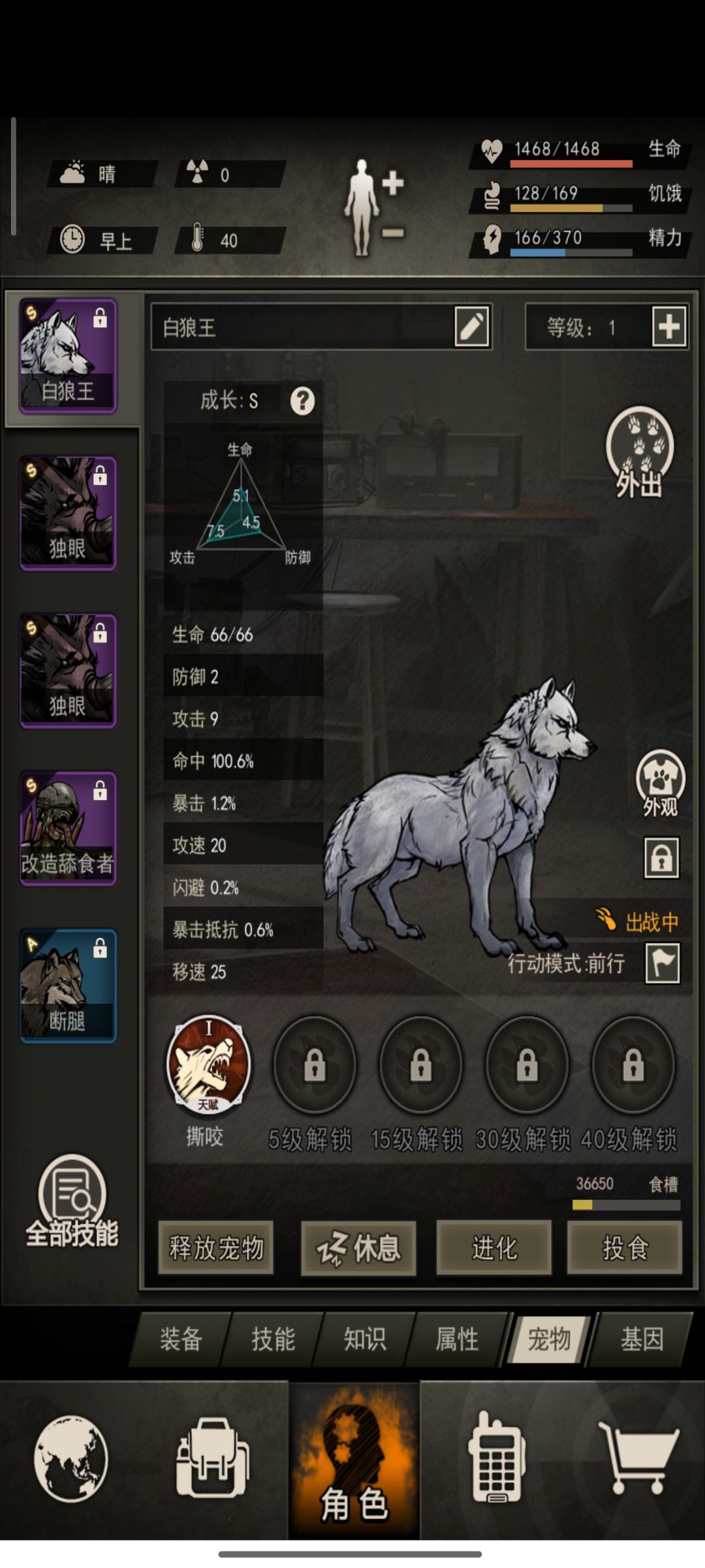 宠物 1