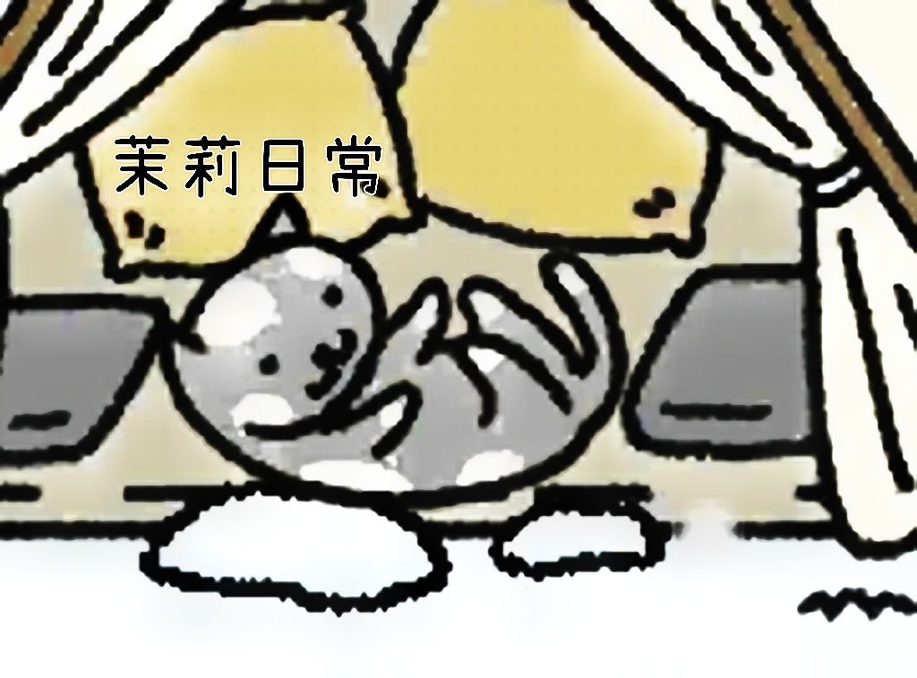动态图片 4