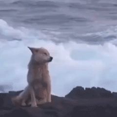 宝藏游戏又又又送皮肤啦截图