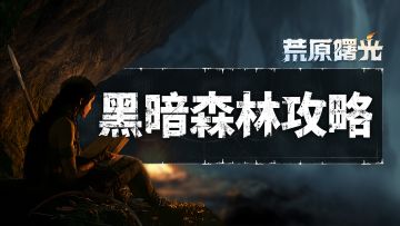 区域攻略 | 看完这一篇，小小黑暗森林，轻松拿捏！