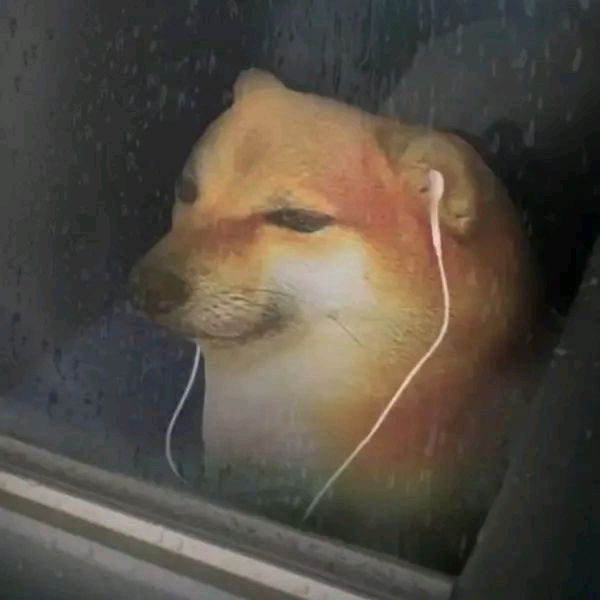 打平手了可还行 2