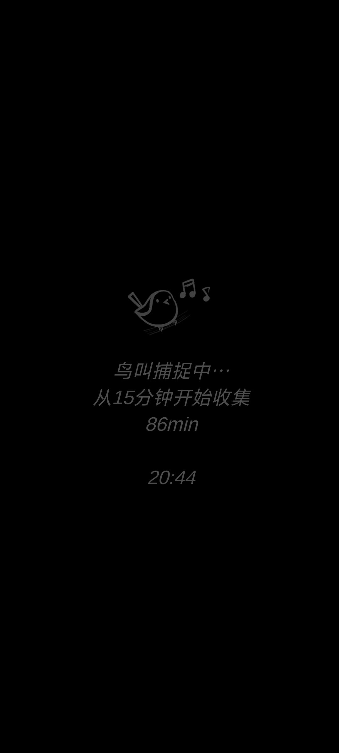 晚霞+第二颗树+2700鸟鸣☺️ 3