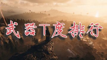 现版本武器T度排行，谁强谁弱一看便知。