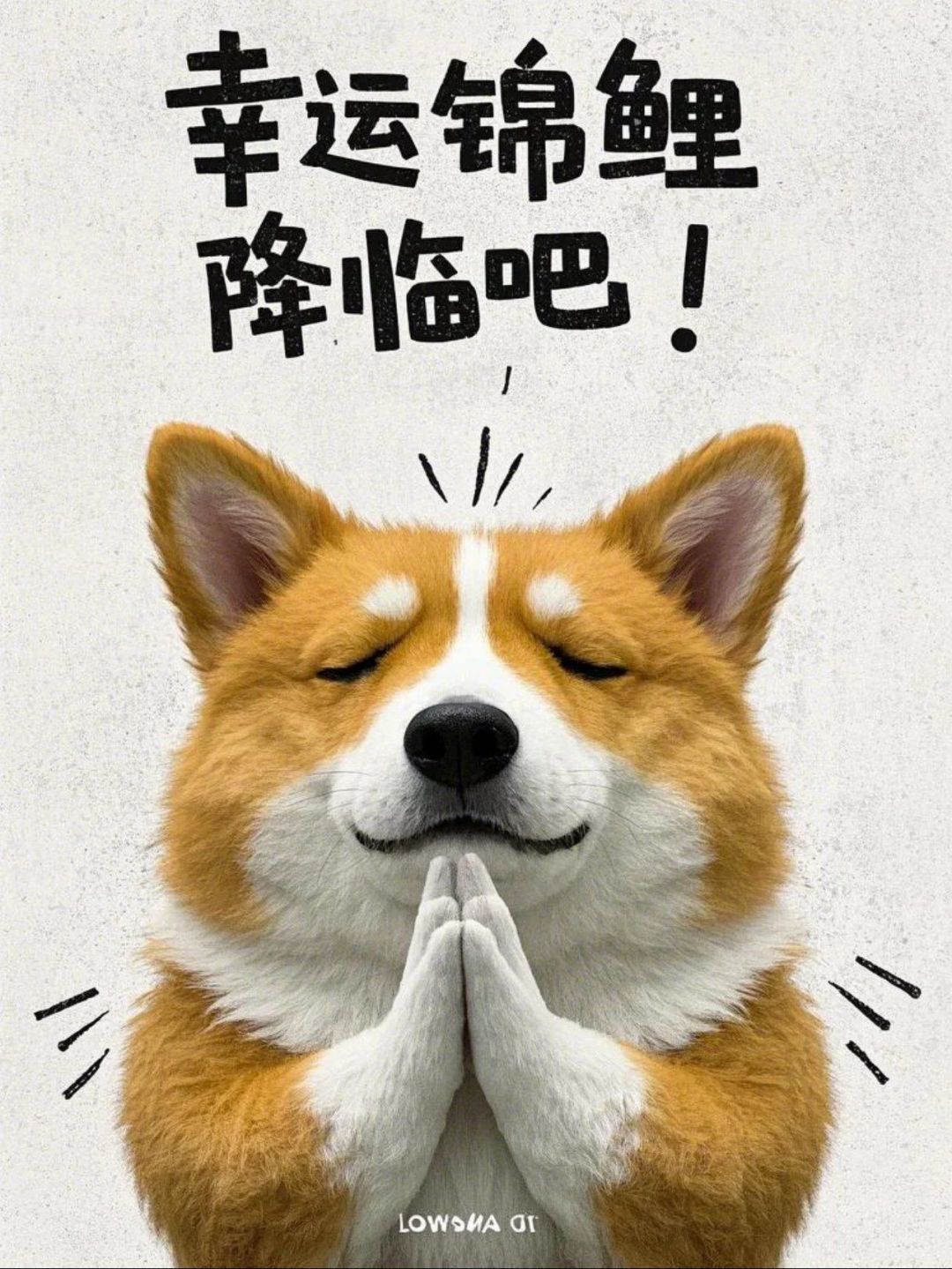 提前祝大家五一快乐 1