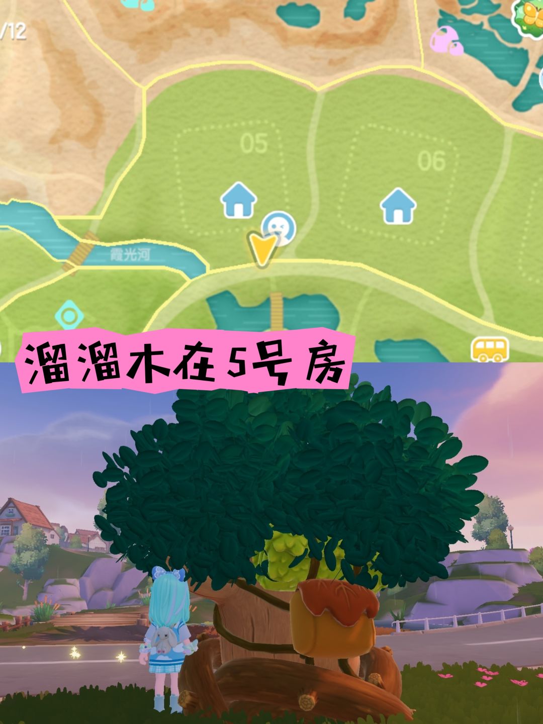 动态图片 4