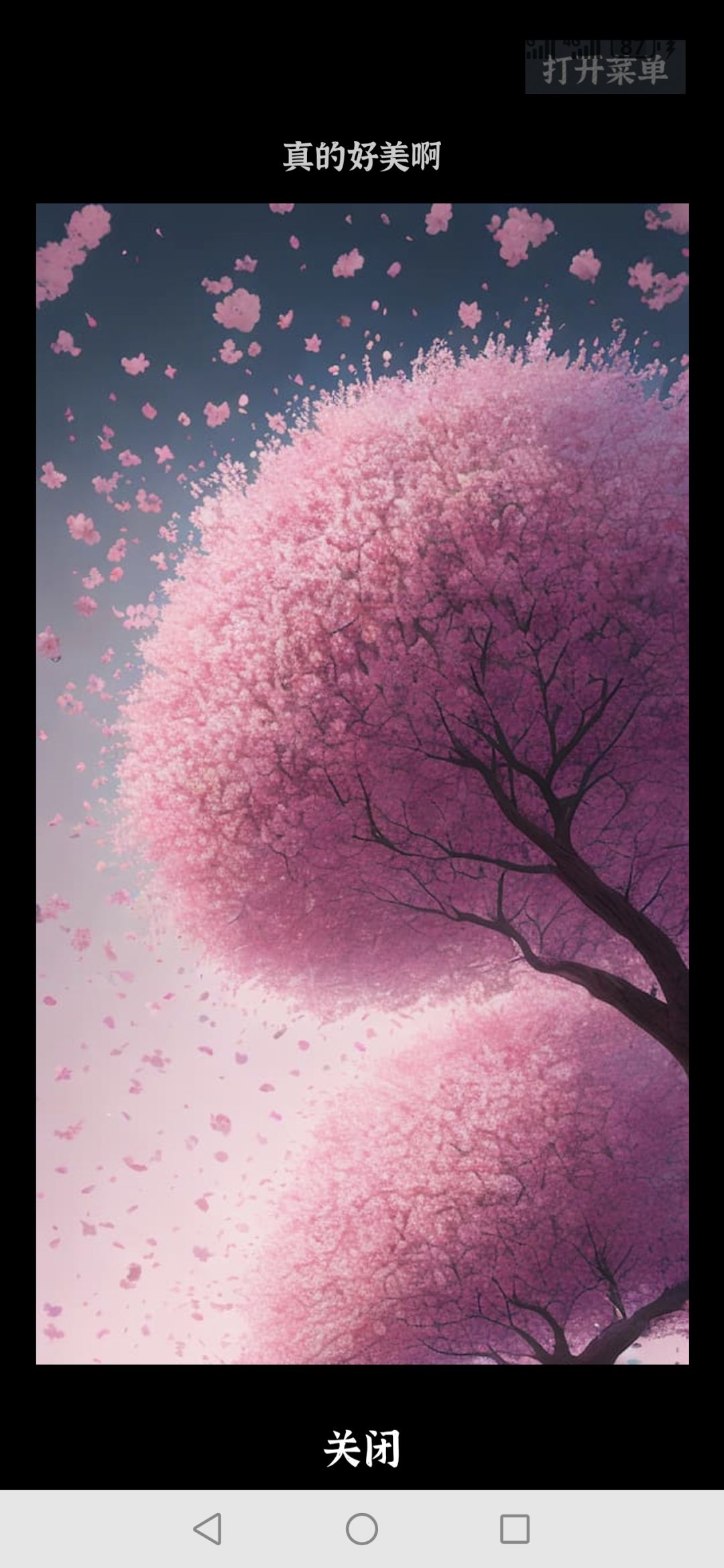 樱花好好看 2