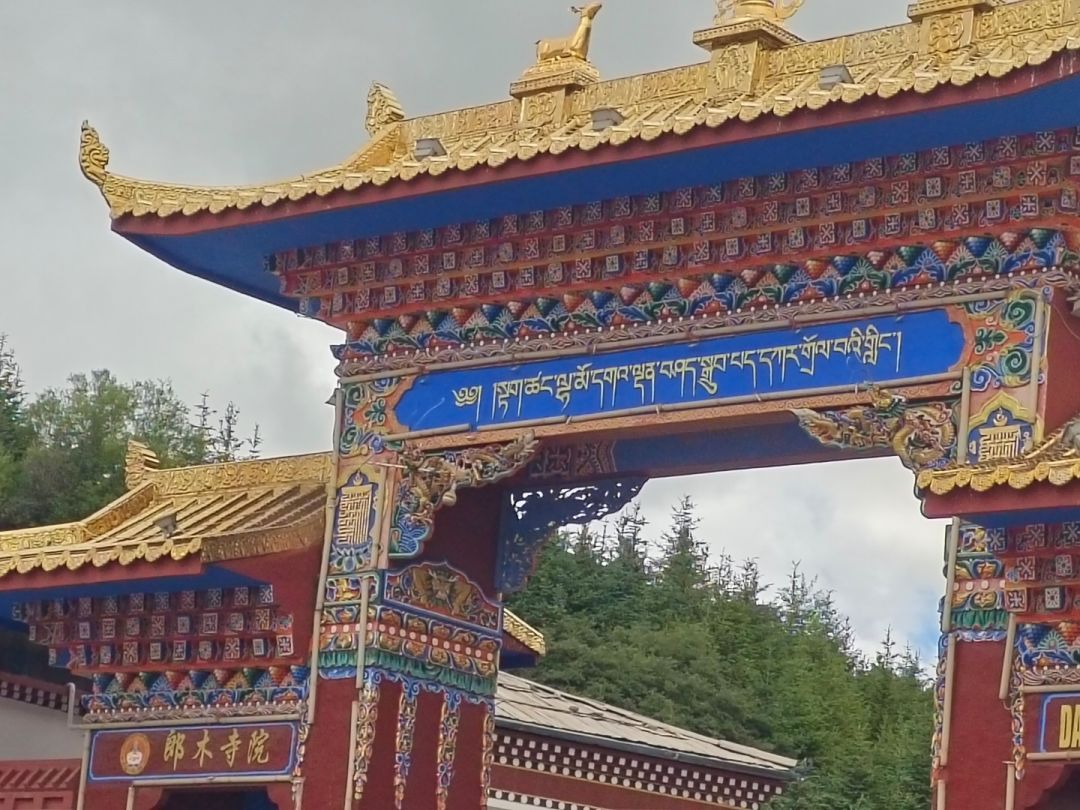 等待诸神终应知晓复活第二十四天 1