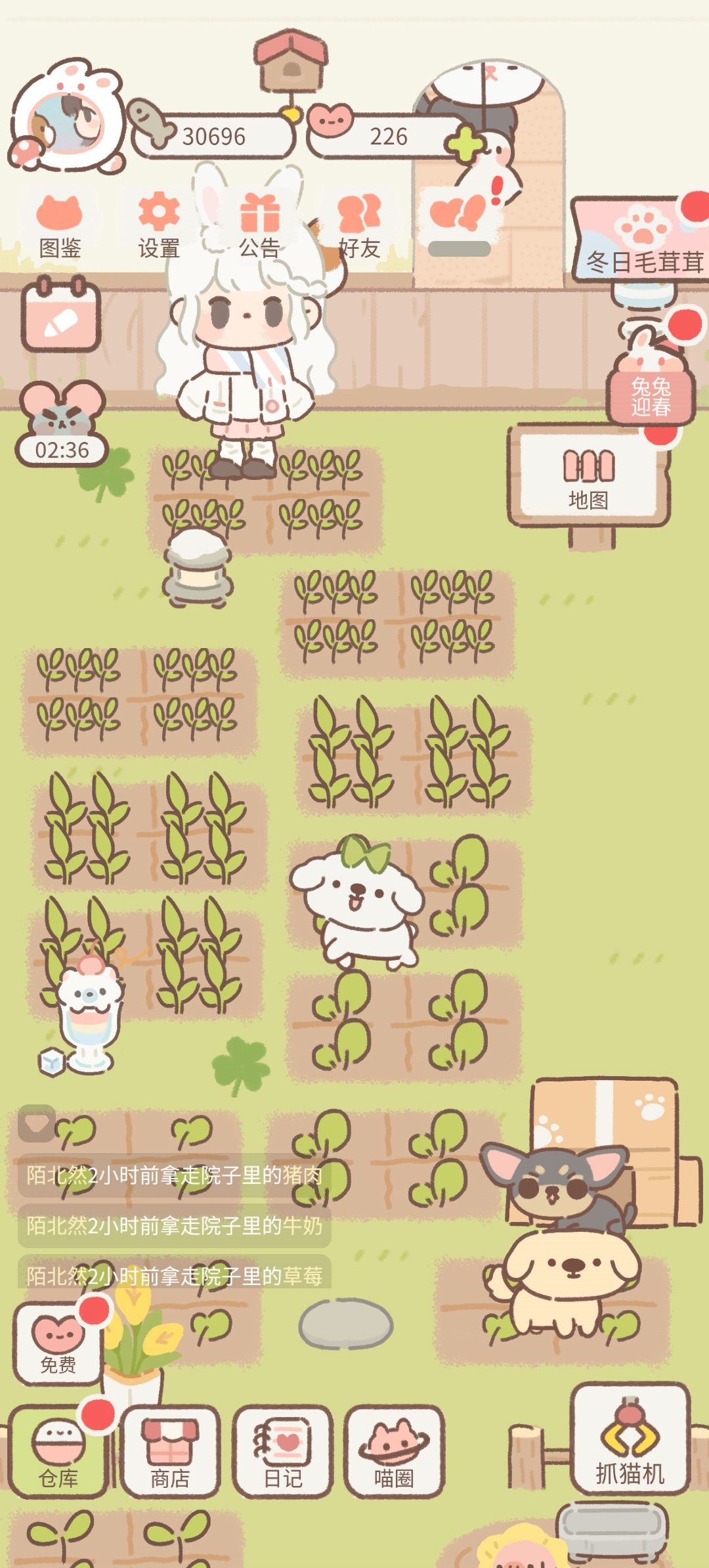动态图片 2