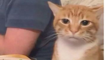 如何单刷阵营战