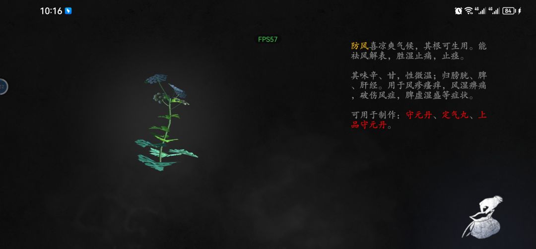 动态图片 4